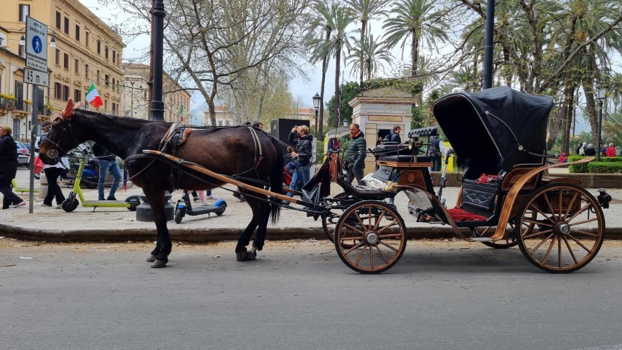 شقة باليرمو  في La Bedda Sicilia المظهر الخارجي الصورة
